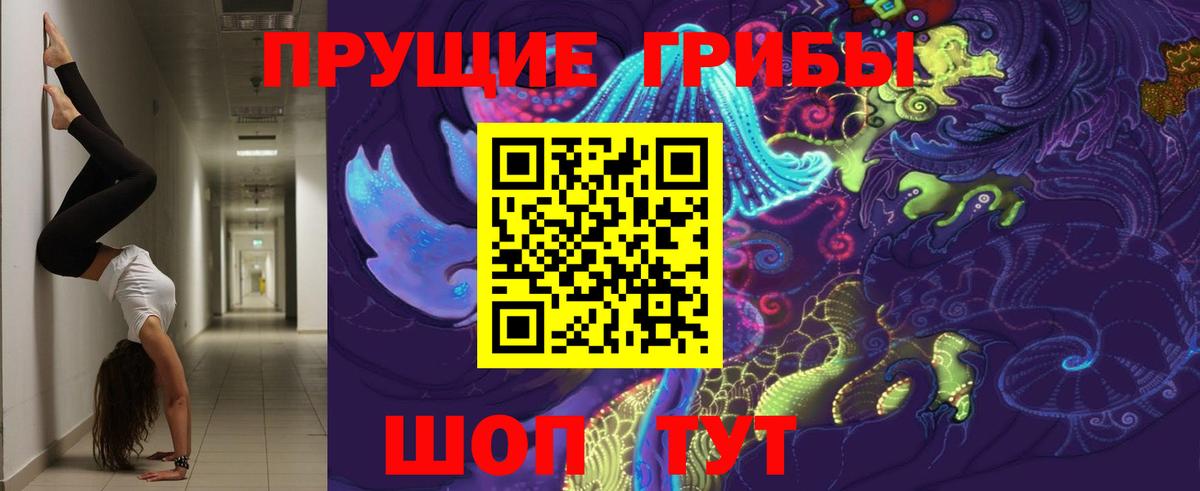 Галлюциногенные грибы Cubensis  Вход с VPN  Киселёвск 